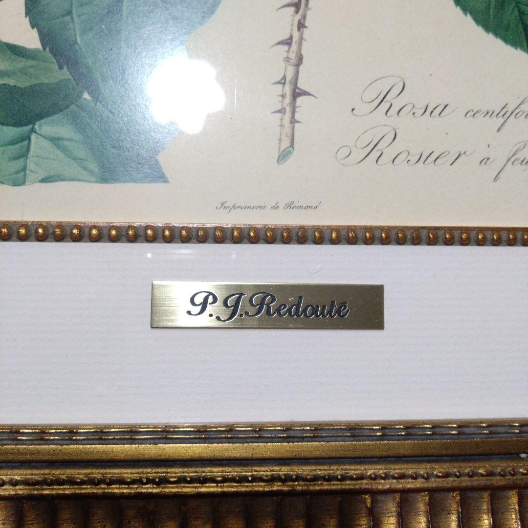 ② ルドゥーテ 絵額 レ ローズ バラ図譜 フォリオ判 ゴールドフレーム 額絵