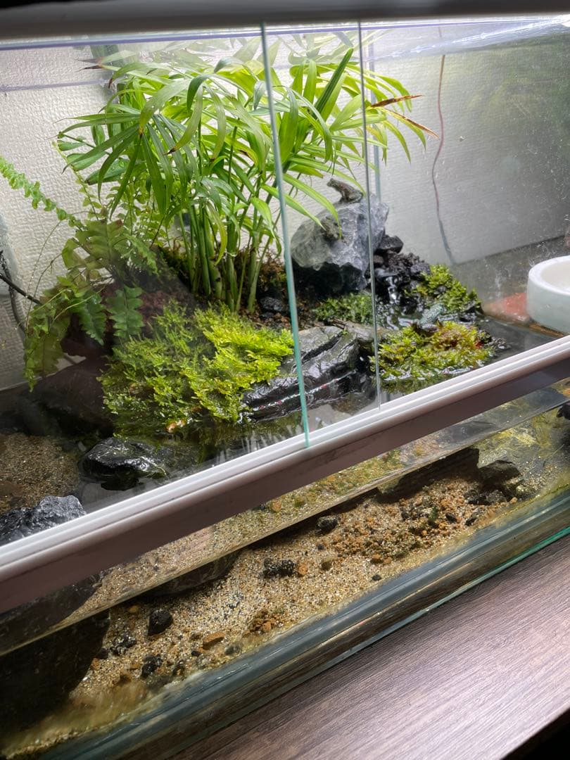 【受注生産】 アクアテラリウム　45センチ水槽