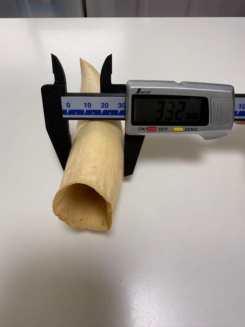 O*)様 天然素材 マッコウクジラ 歯 重さ181g 根付 鯨歯 印材 置物 彫