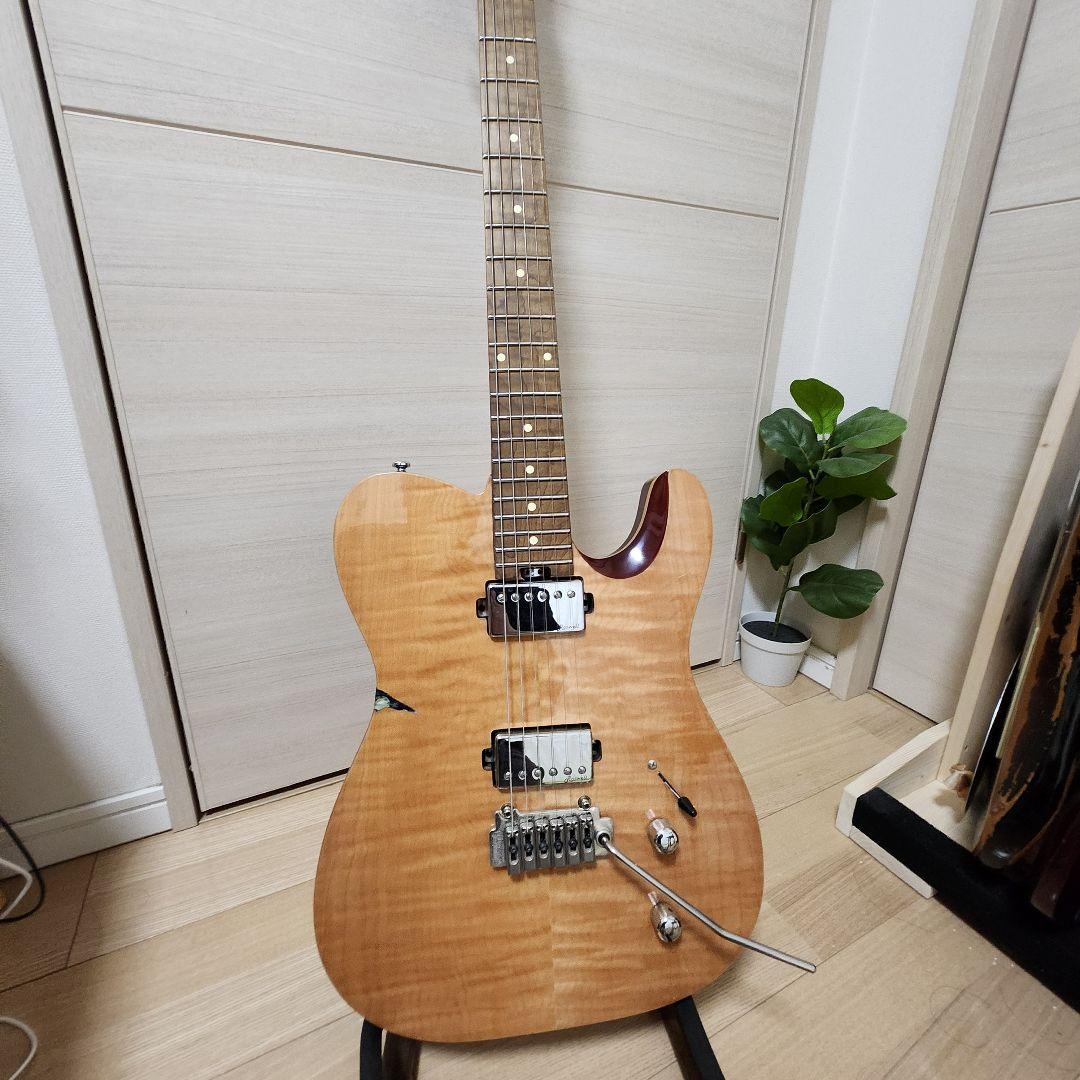 【最終値下げ】Harley Benton Fusion-T RoastedFNT