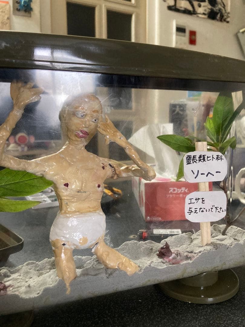 虫かご・飼育ケース 観賞用フィギュア付き