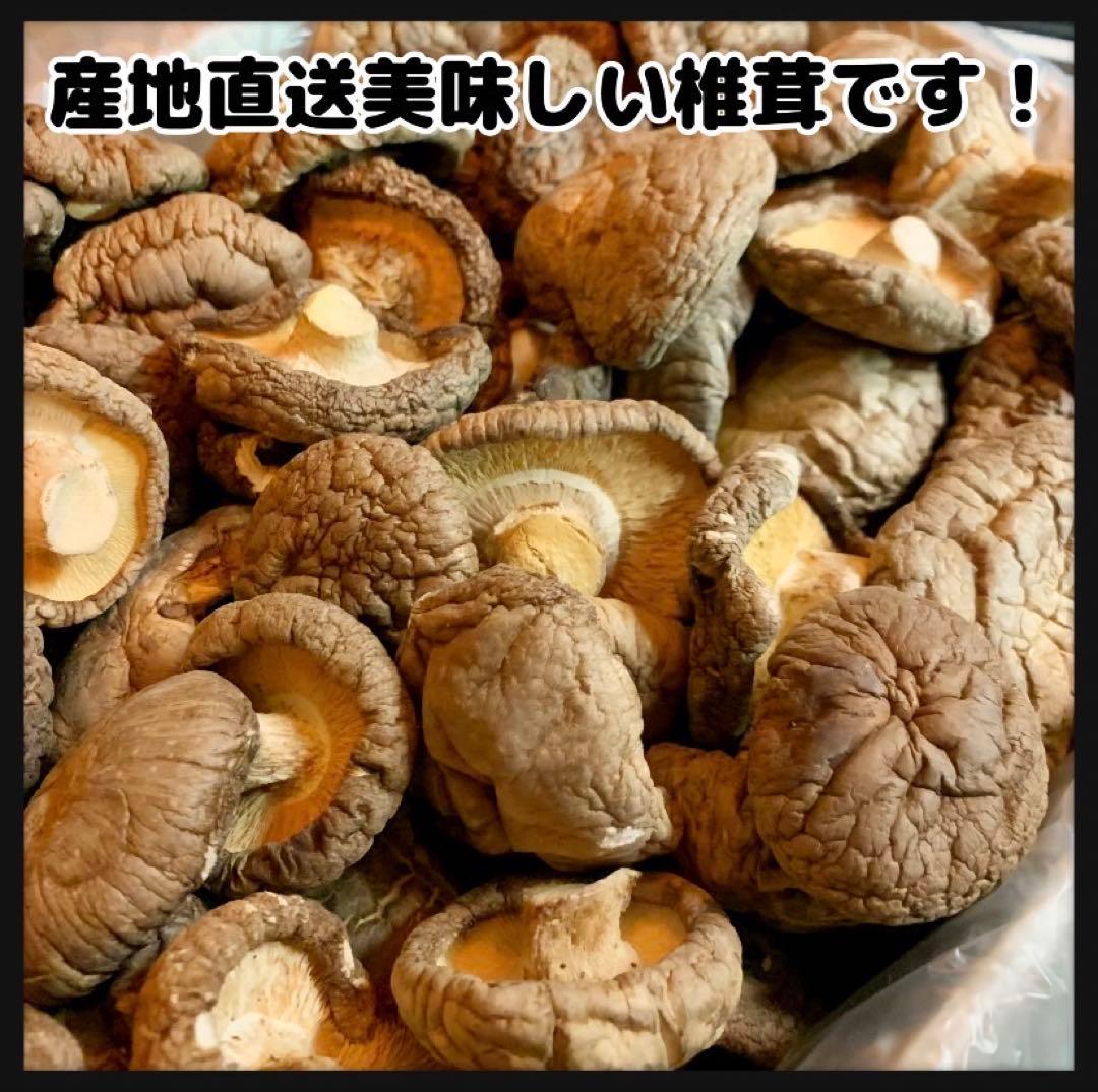 【産地直送】 乾燥椎茸　2kg 業務用　しいたけ　岩手県産　東北の味　シイタケ