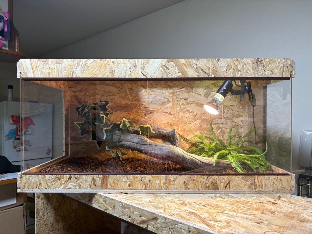 moon_R　1005050向かって左側アクリル　ワンタッチロック