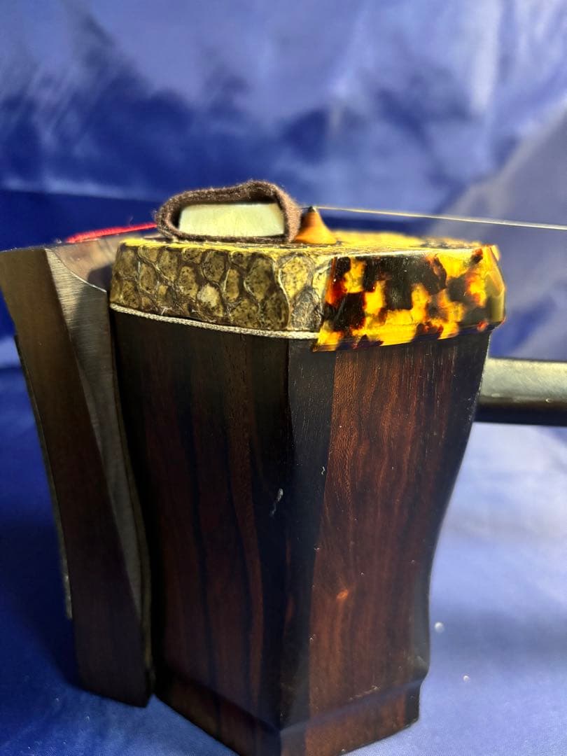 西野二胡　光舜堂（中上級者向け）