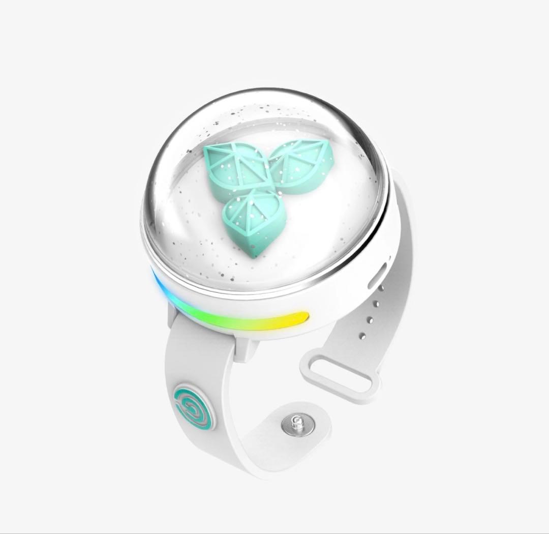 DAY6 OFFICIAL LIGHT BAND VER 3 新品 未使用