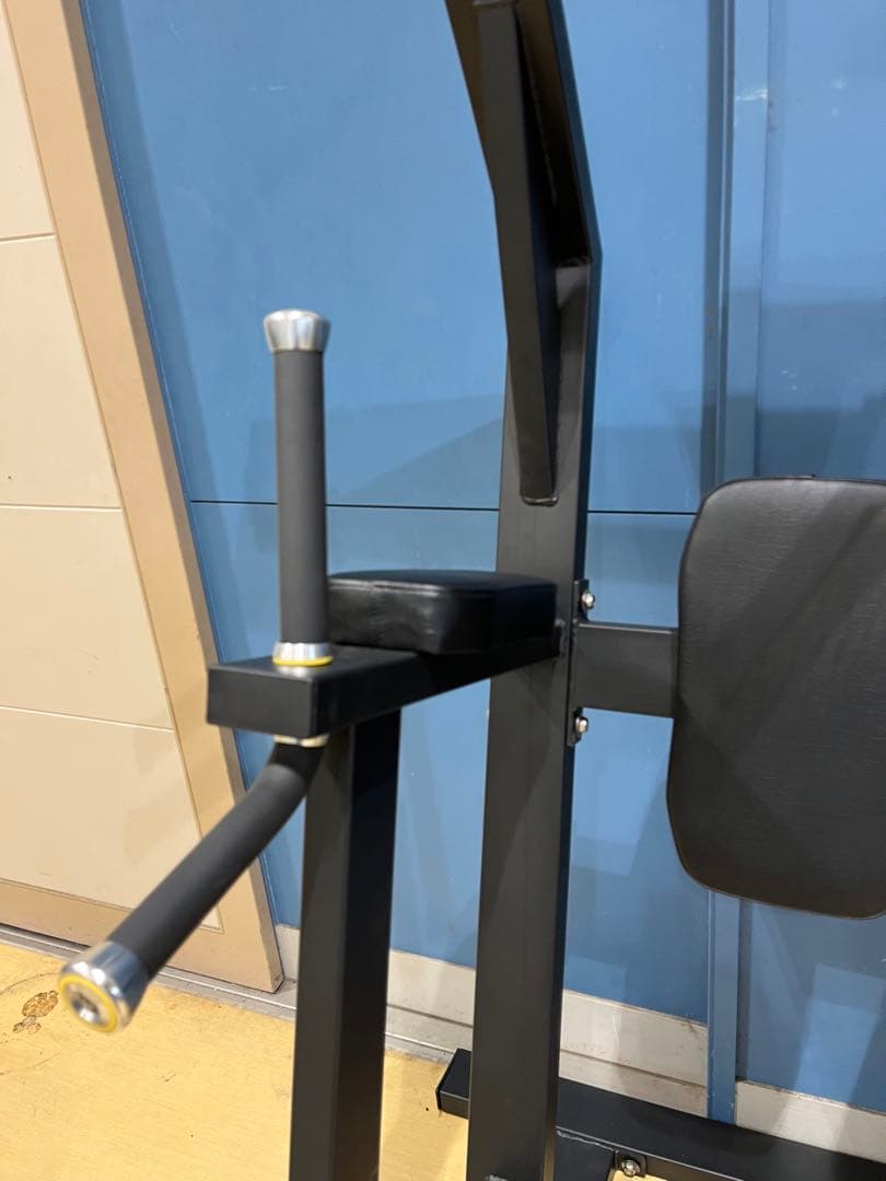 レッグレイズ、チンニング、ディップスマシーン