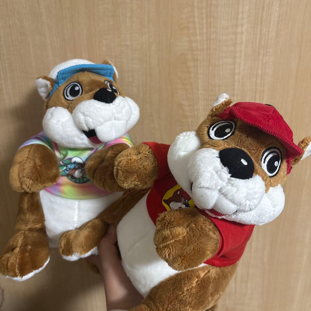 バッキーズ　アメリカ限定　アドバタイジング　日本未発売　アメトイ