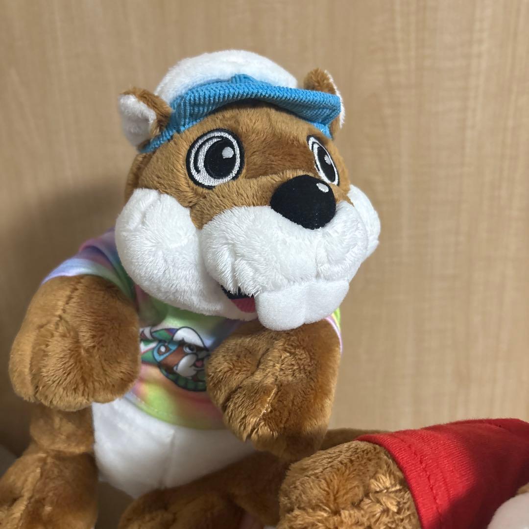 バッキーズ　アメリカ限定　アドバタイジング　日本未発売　アメトイ