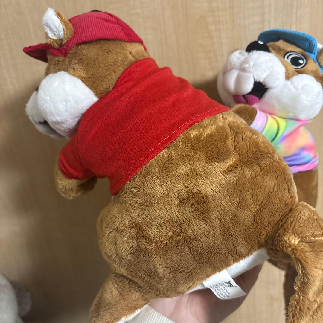 バッキーズ　アメリカ限定　アドバタイジング　日本未発売　アメトイ