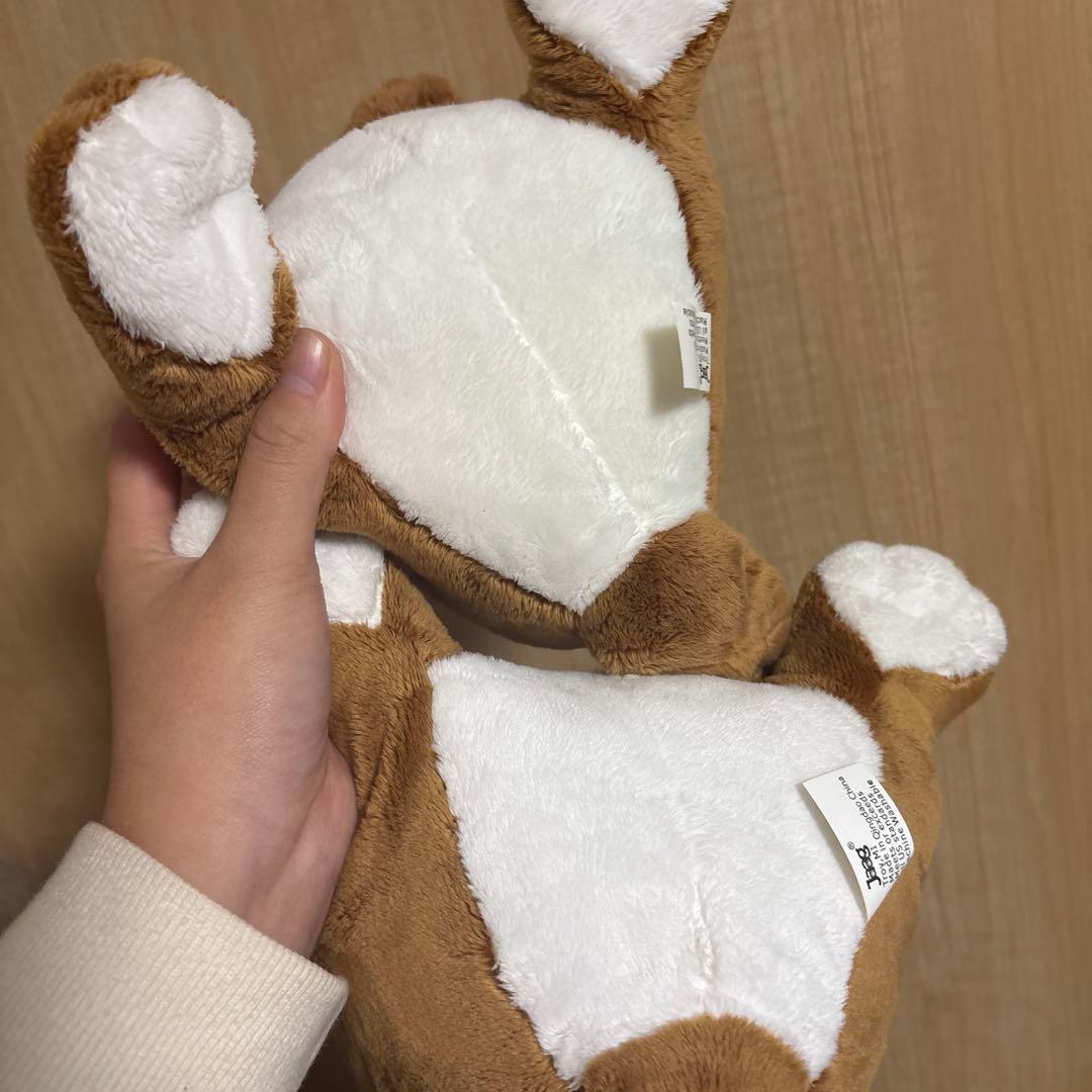 バッキーズ　アメリカ限定　アドバタイジング　日本未発売　アメトイ