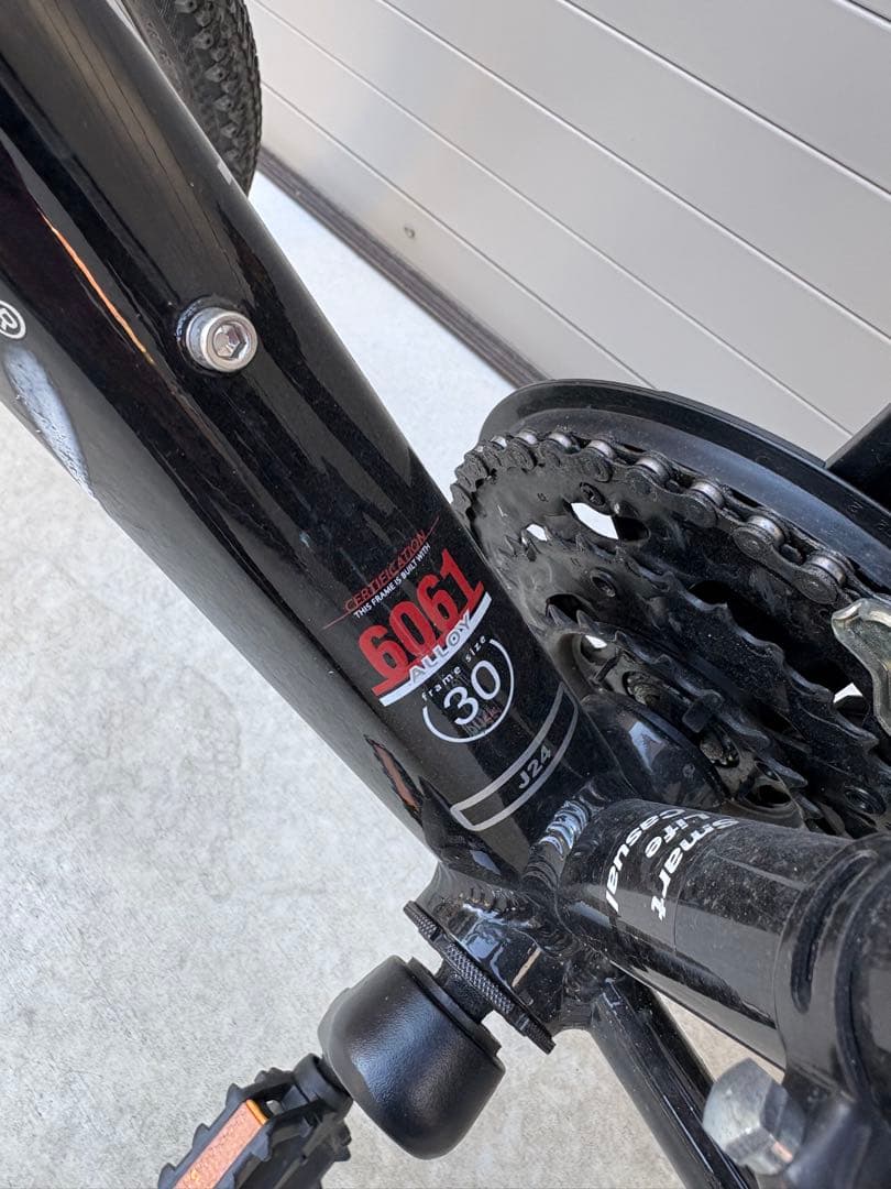 LOUIS GARNEAU ルイガノ J24 ジュニアバイク　2024年5月購入