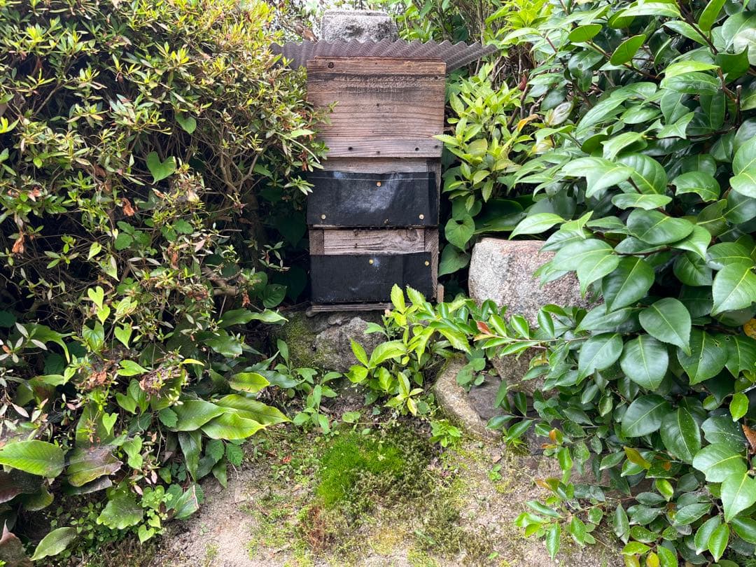 E*i様 ☆天然☆日本ミツバチ百花蜜1200×2本セット