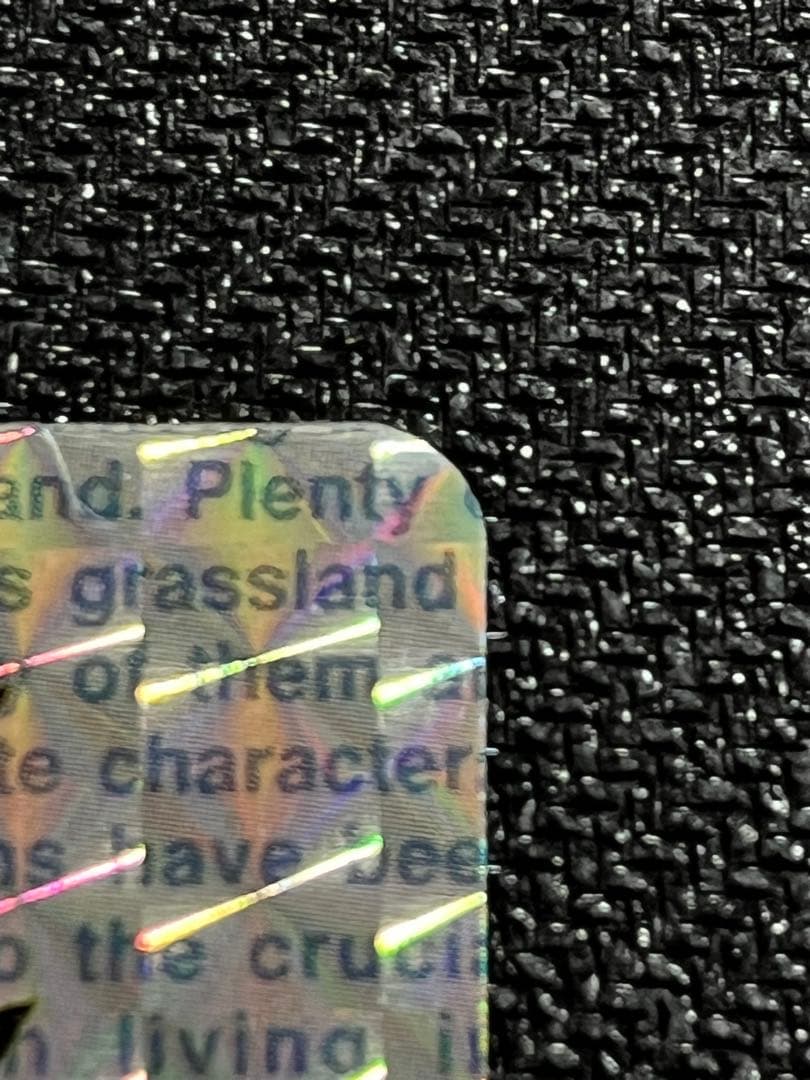 【カードダス】ゲンガー　カードダス　キラ　超美品！