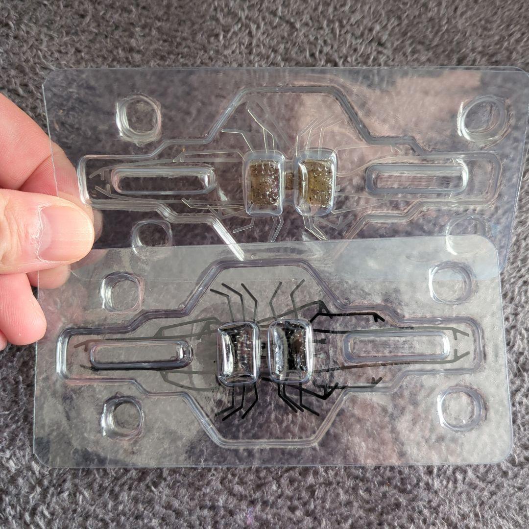 イマカツルアセット