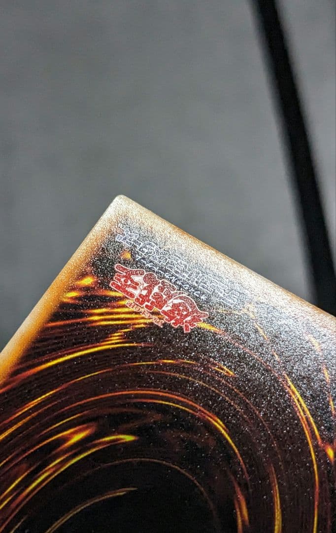 tynです。　ホーリーナイトドラゴン、初期、シク