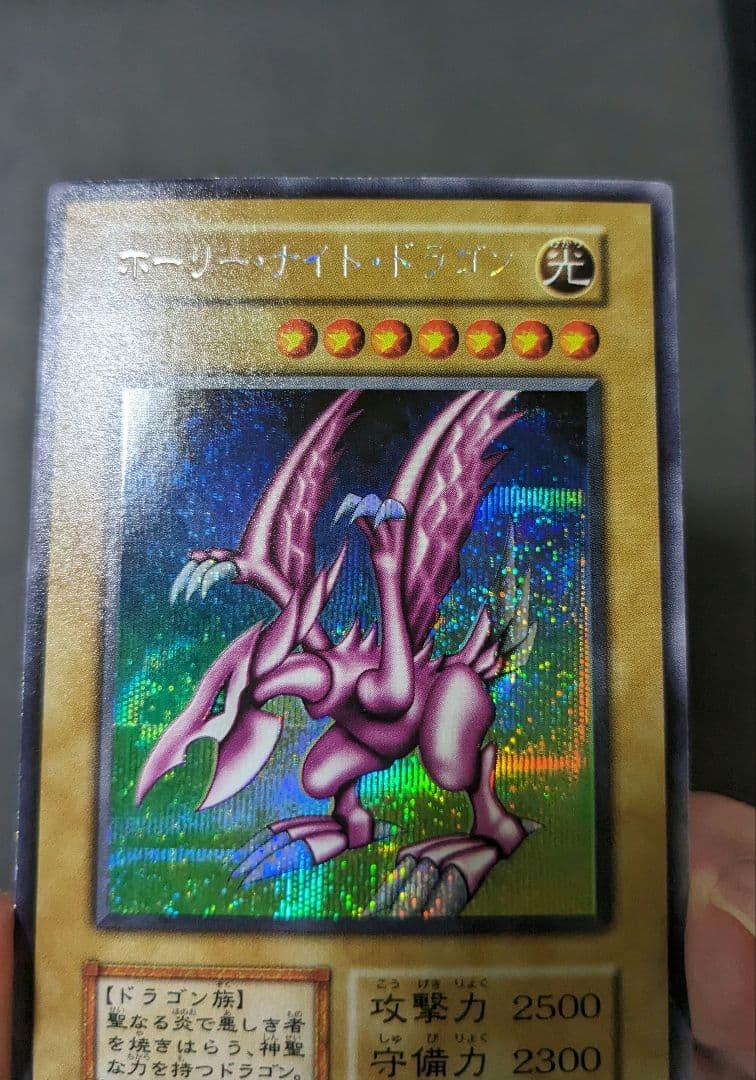 tynです。　ホーリーナイトドラゴン、初期、シク