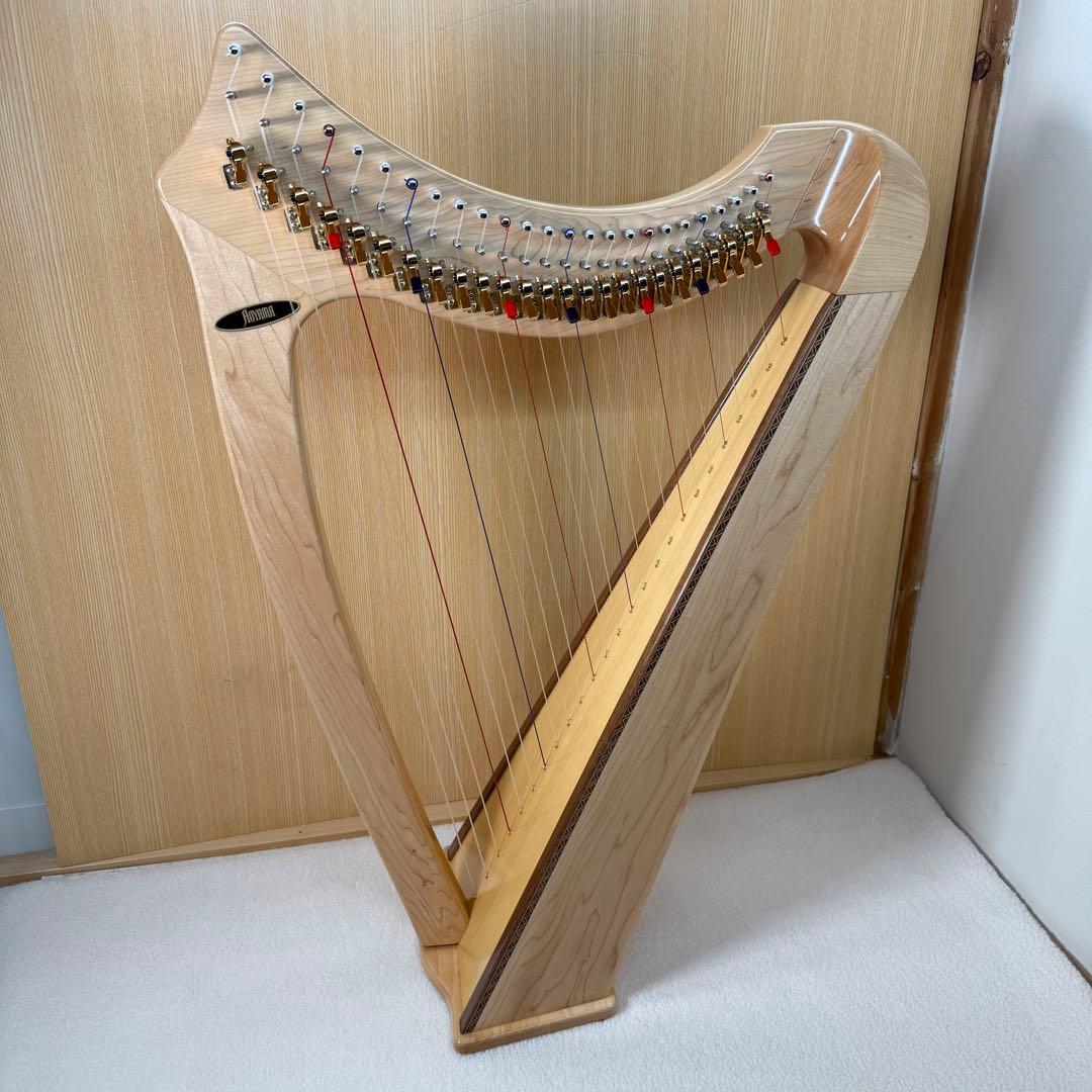 Aoyama 青山ハープ　サウルハープ　25S 専用ケース付き　25弦