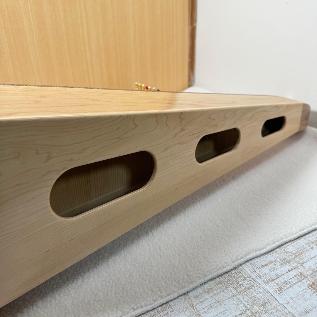 Aoyama 青山ハープ　サウルハープ　25S 専用ケース付き　25弦