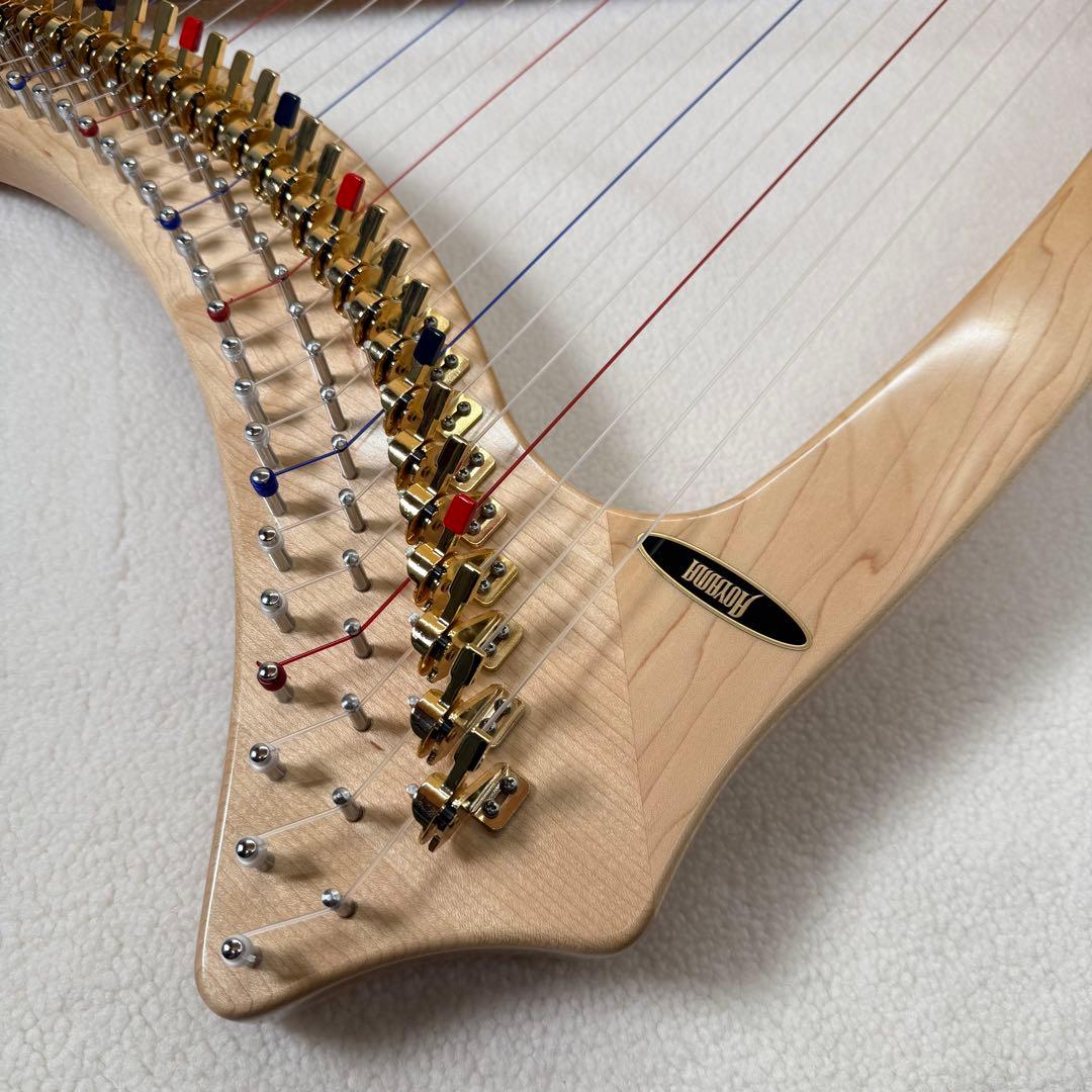 Aoyama 青山ハープ　サウルハープ　25S 専用ケース付き　25弦