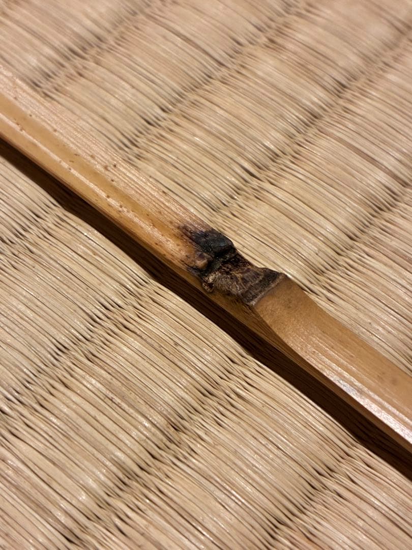 茶道具　浸竹茶杓　銘『南山寿』 紫野高桐院 松長剛山 作