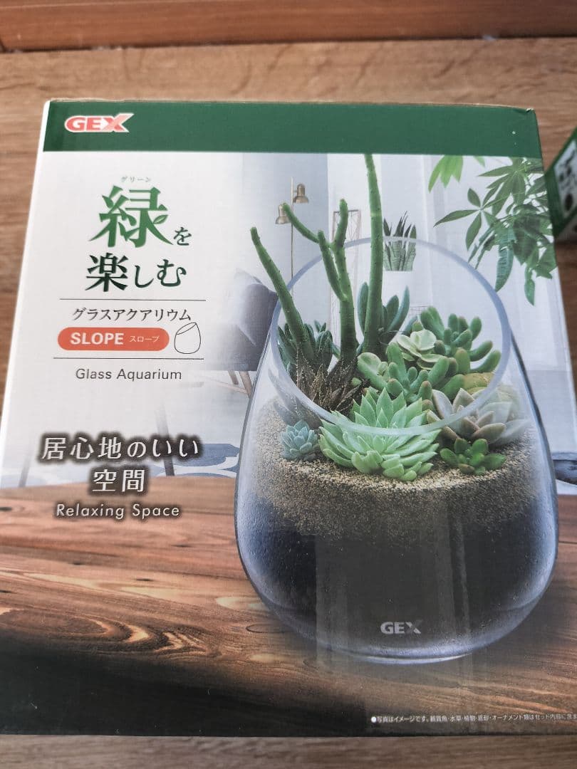 グラスアクアリウムセット