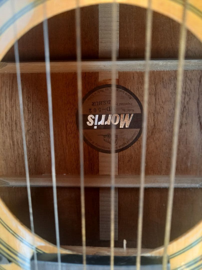 Morris アコースティックギター【MD502】