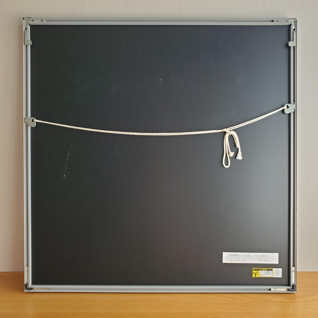 藤城清治 オフセットリト 湿原のミズバショウとこびと 額装 60 正方形 影絵