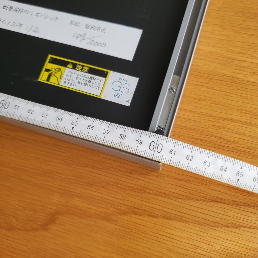 藤城清治 オフセットリト 湿原のミズバショウとこびと 額装 60 正方形 影絵