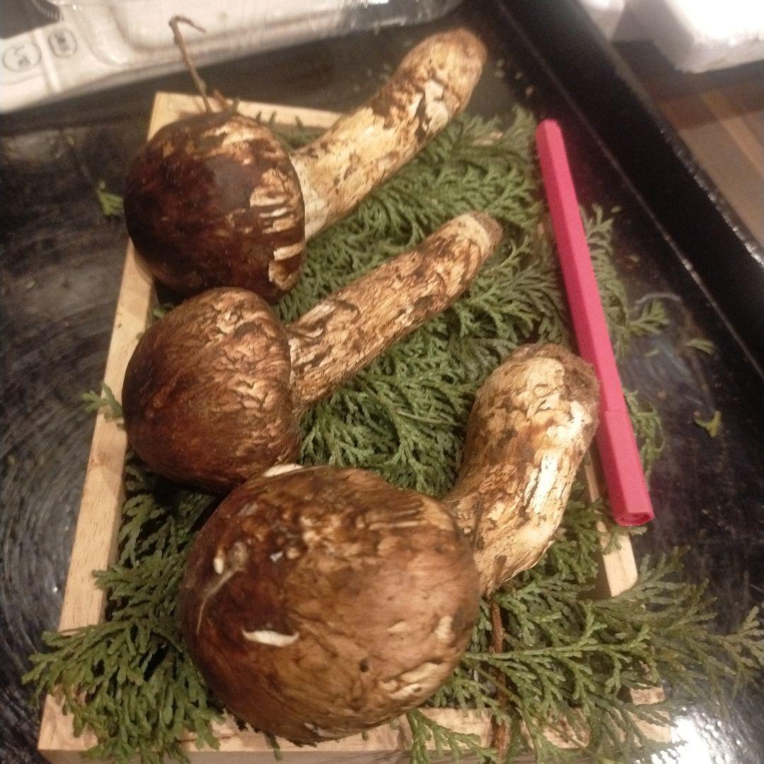 ②信州産 松茸　長野県　クール便　220g