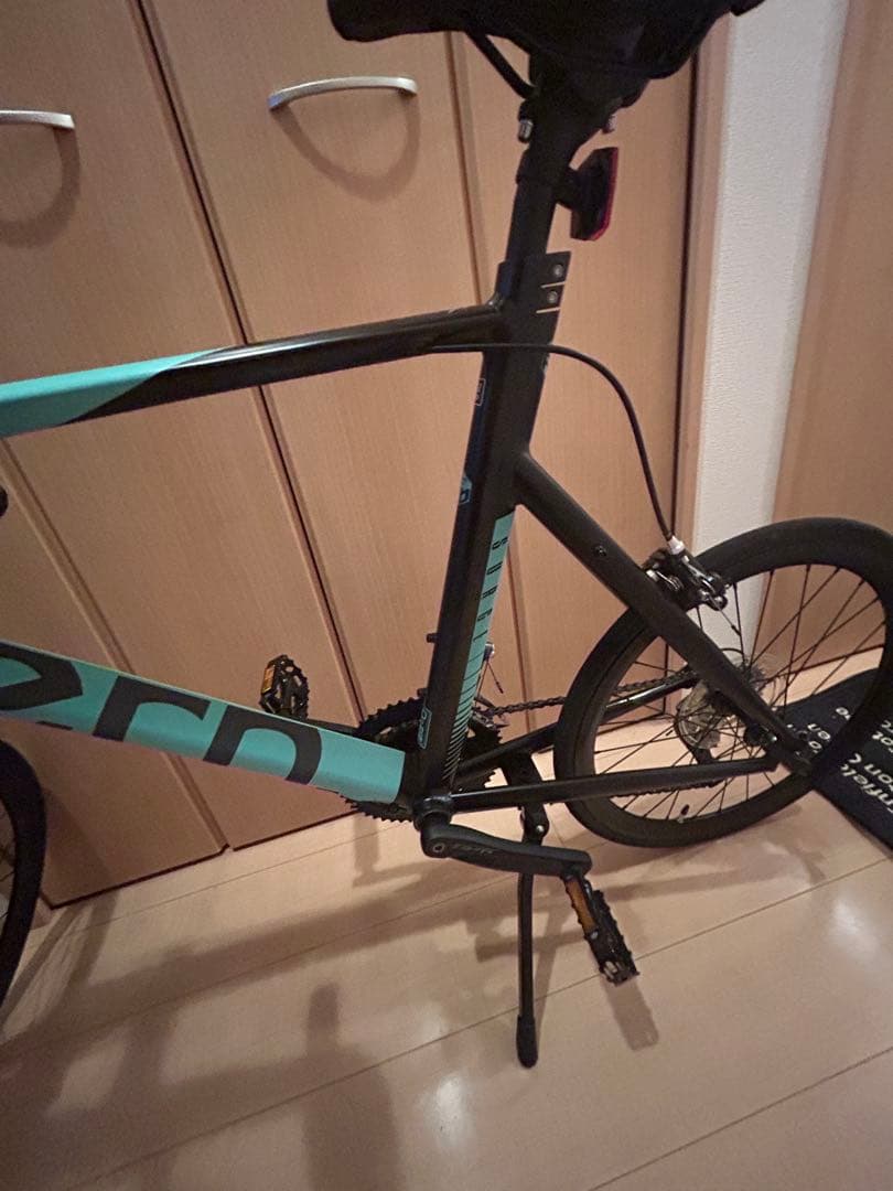 【最終価格　送料込】tern SURGE FLAMEbike限定カラー