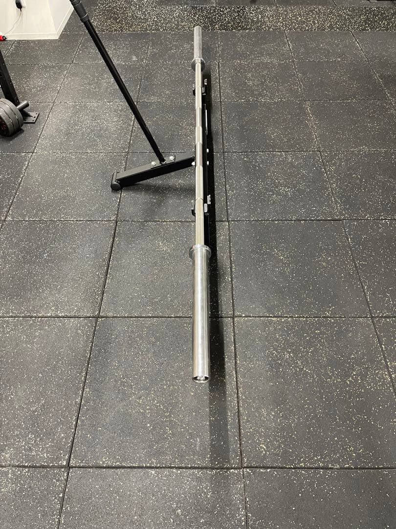 ROGUE ステンレスオハイオパワーバー