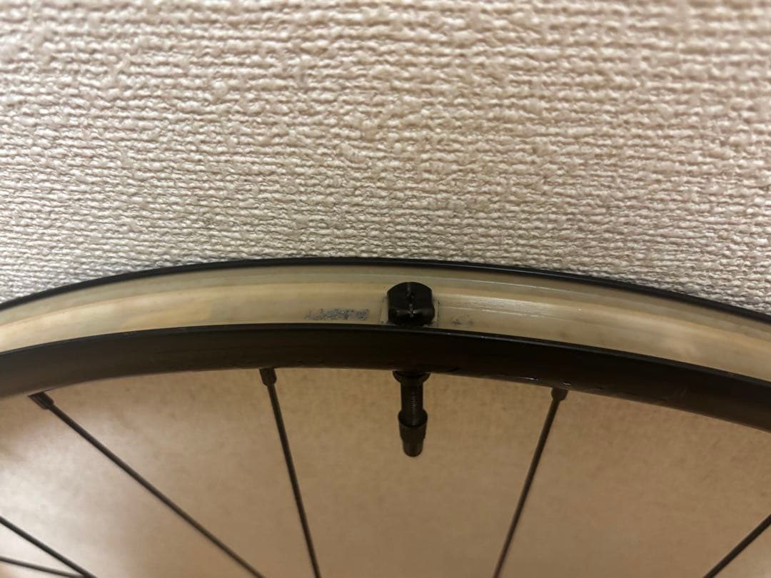 Bontrager Paradigm チューブレスレディ