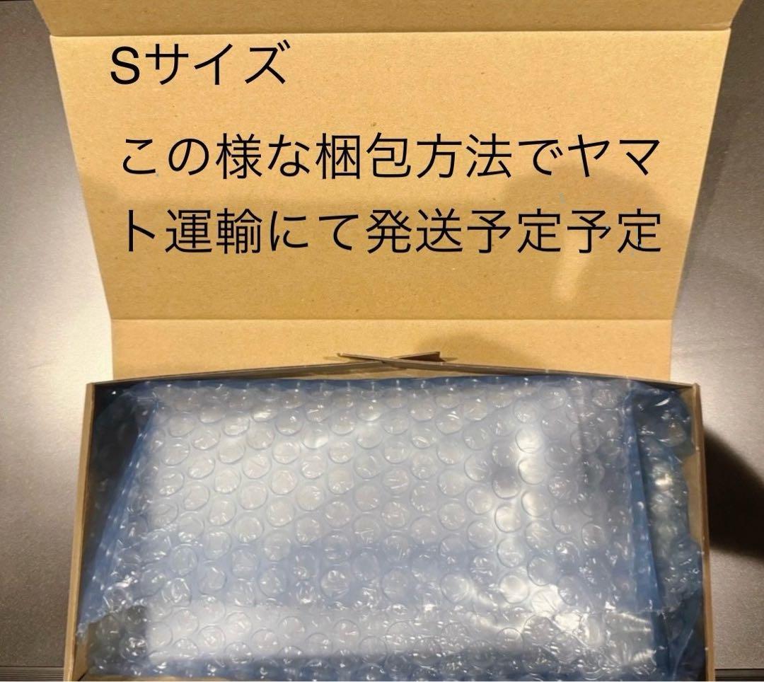 PSA10メガゲンガー ex #240 2870