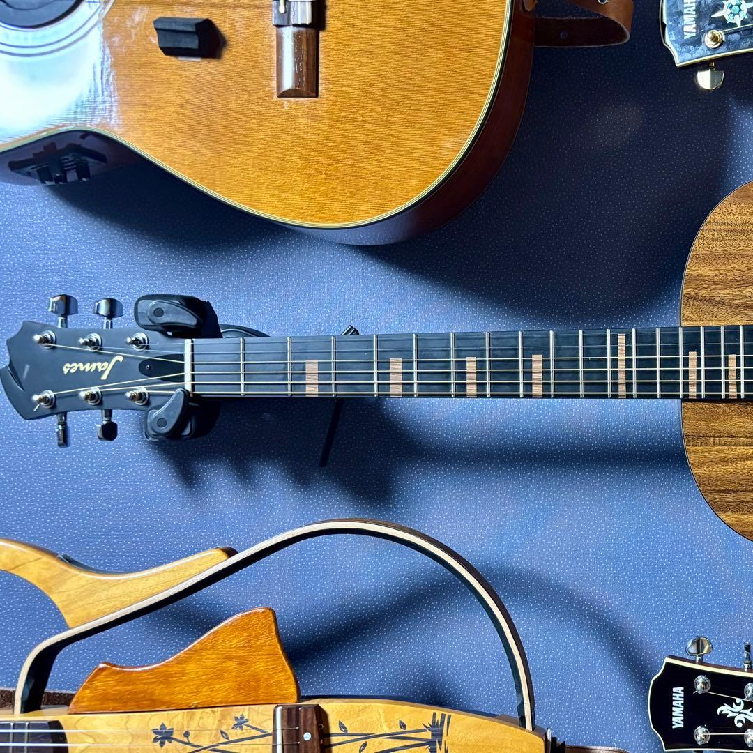 【美品】James トランスギターJ-100A MHT ギグケース付属