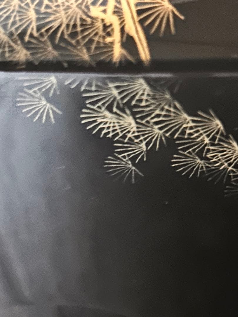 蒔絵風景画文箱