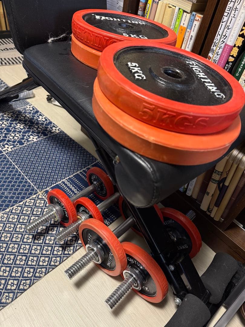 【手渡し限定】FLYBIRD 調整可能ベンチ台／アイロテック・ダンベルセット