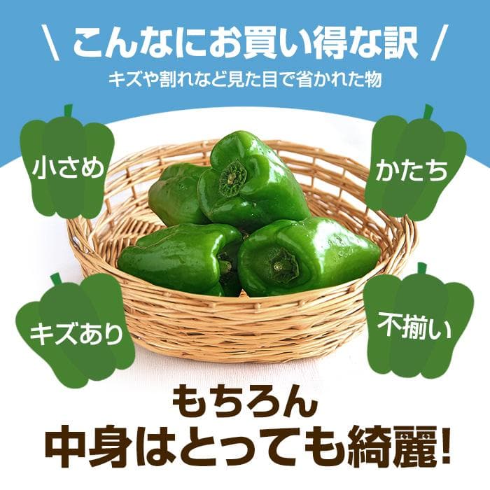 送料無料 訳あり ピーマン 500ｇ