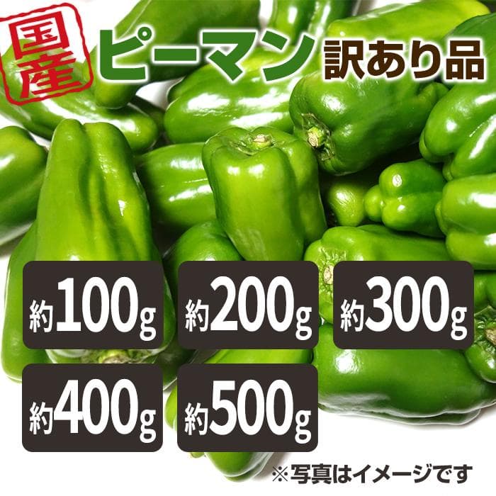 送料無料 訳あり ピーマン 500ｇ