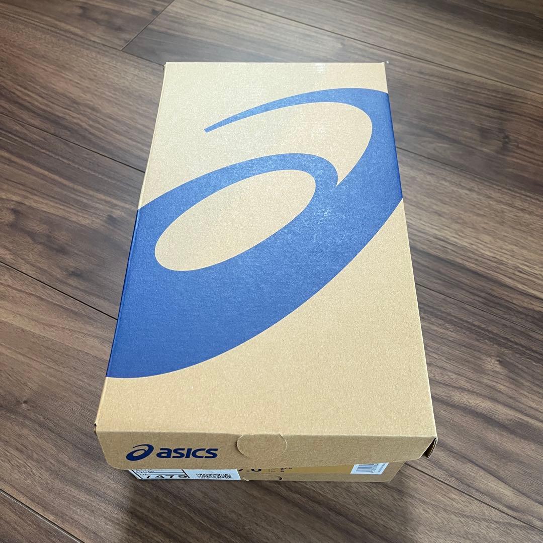 シューズ DS LIGHT X-FLY6 27.0cm