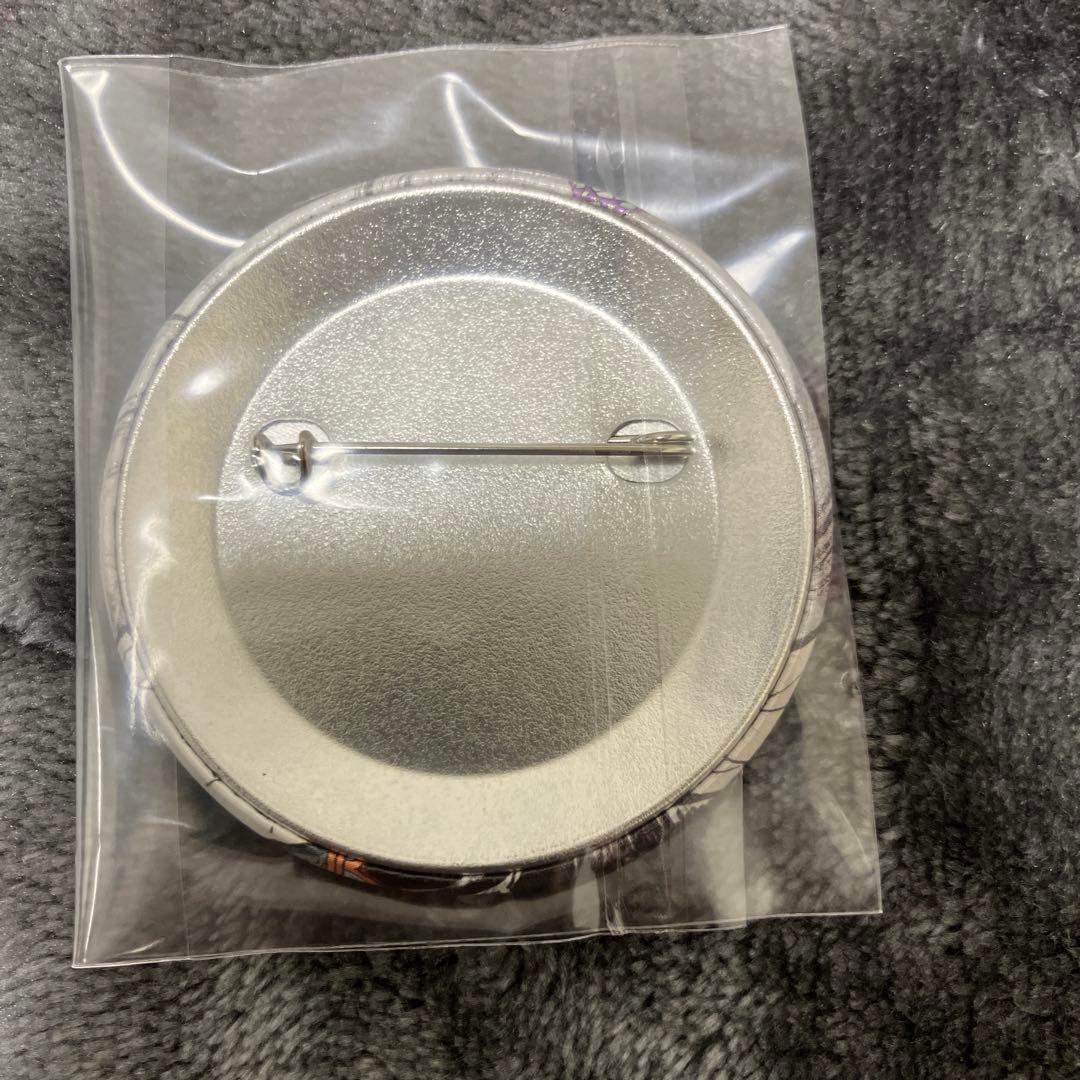 鬼滅の刃　幕間画缶バッジ　胡蝶しのぶ　栗花落カナヲ　セット