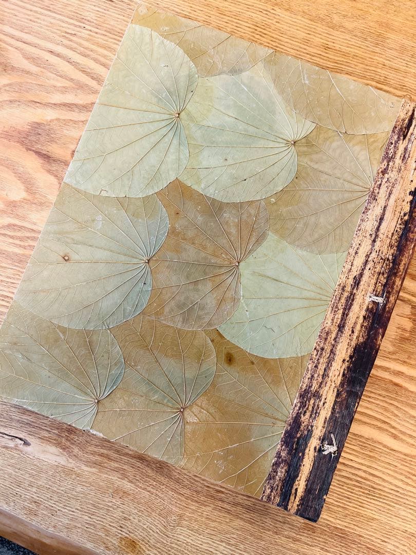 ★Hawaiian自然素材アルバム激レア★