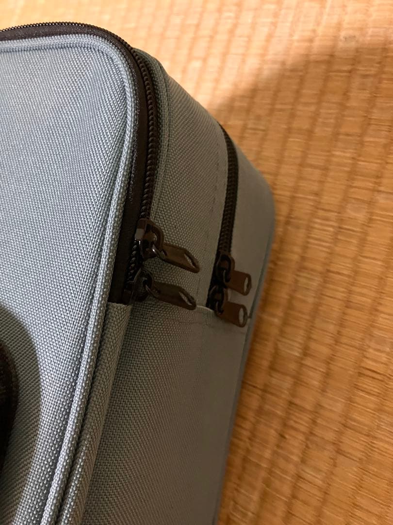 Eastar EVA-1 バイオリン スプルース&メイプル 初心者入門セット