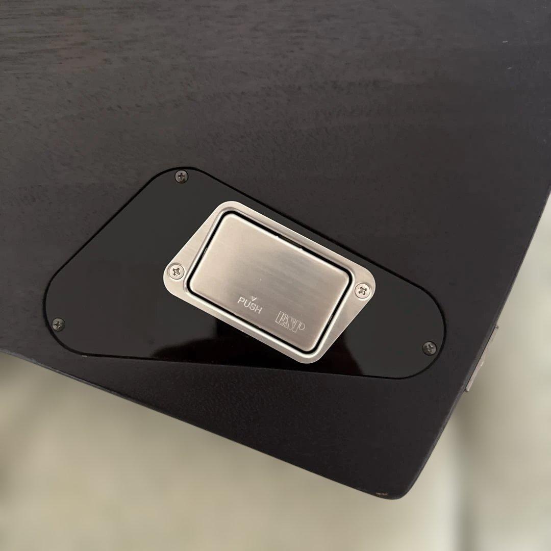 EDWARDS エクスプローラーギター