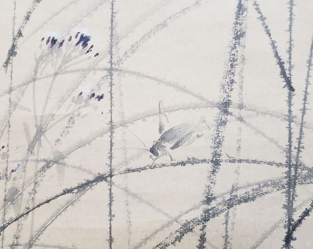 【秋草に虫図/秋叢】小寺雲洞 2575 共箱　掛け軸　肉筆