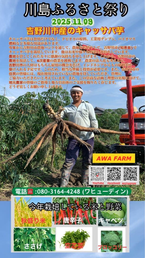 キャッサバ芋 22Kg 吉野川市産