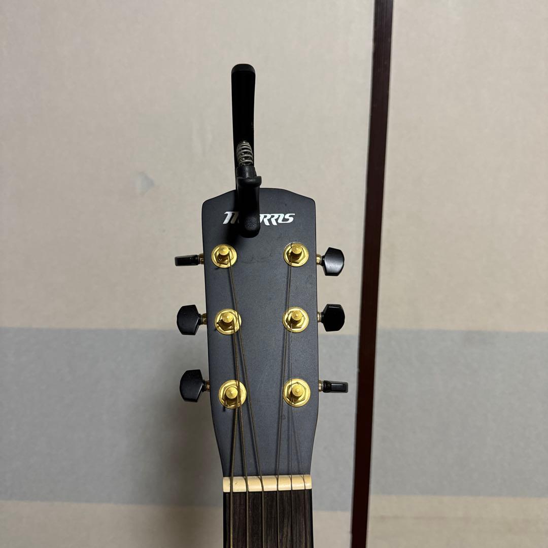 Morris SA-02ENAI アコースティックギター