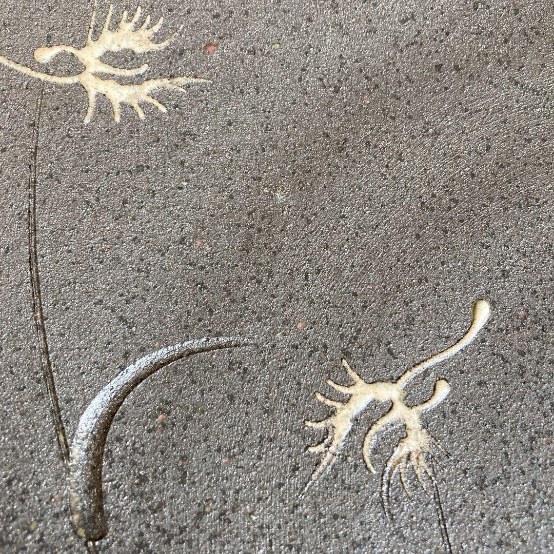 鷺草　飾り大皿　36cm