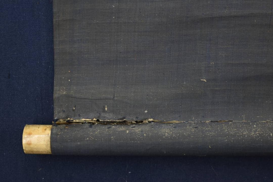 【真作】狩野栄川院法印/狩野典信/虎之図/横物/掛軸/名家伝来/AA-72