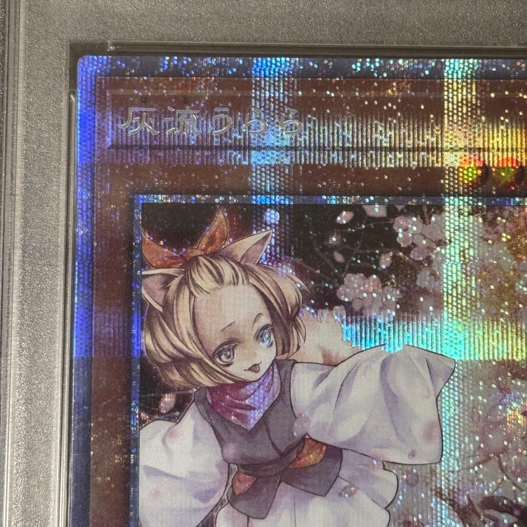 灰流うらら　プリシク　PSA10