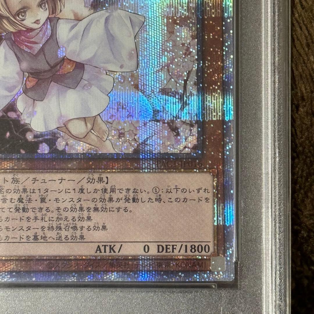 灰流うらら　プリシク　PSA10